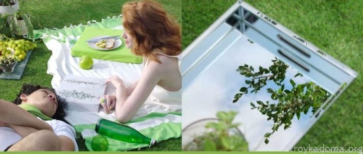 Романтический пикник в море свежей зелени 