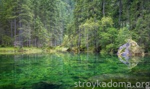 Прибрежный фото-пейзаж – натуральная зелень почти во всем своем разнообразии внесет модную нотку в прихожую, гостиную или кабинет.